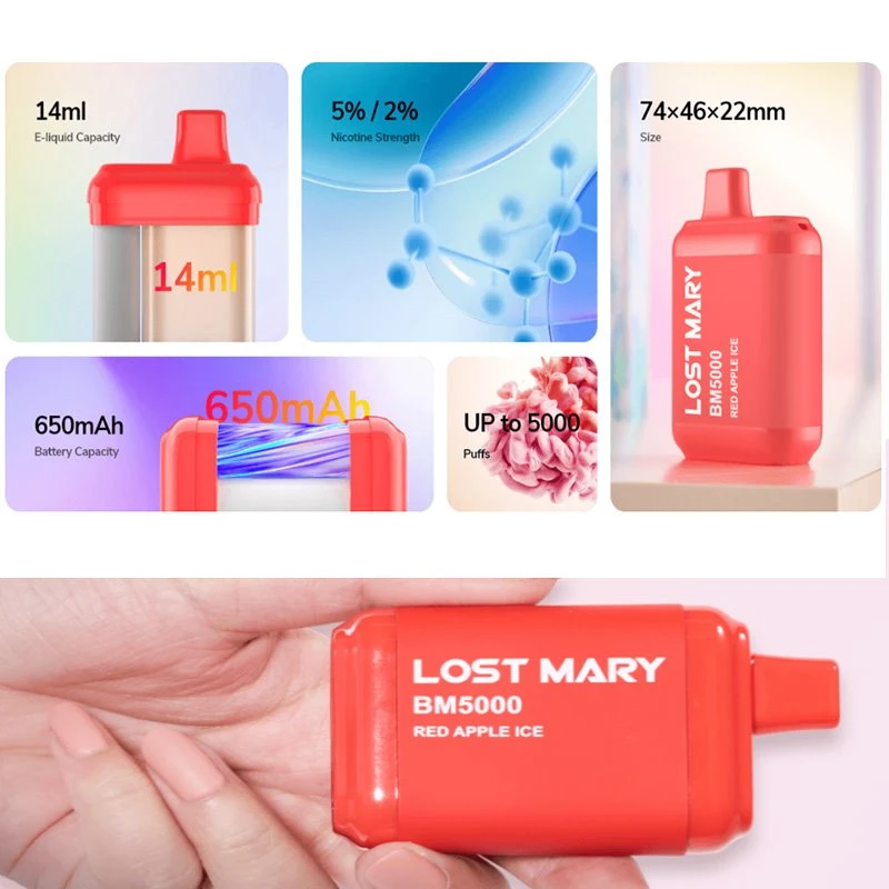 product-800-800 lost mary BM 5000